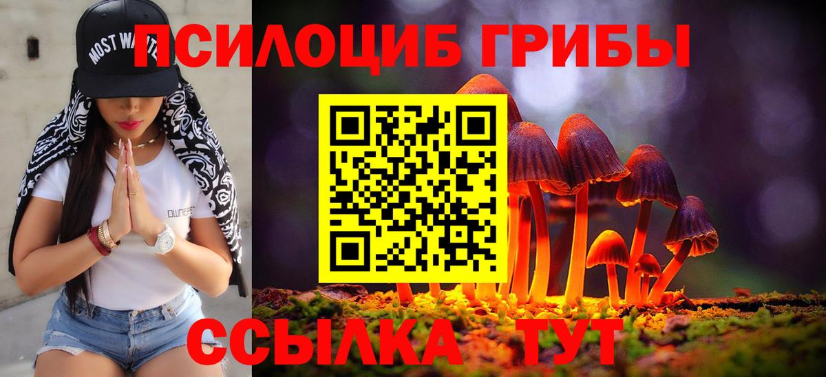 Псилоцибиновые грибы ЛСД  Галлюциногенные грибы Psilocybine cubensis  Моршанск  Вход с VPN 